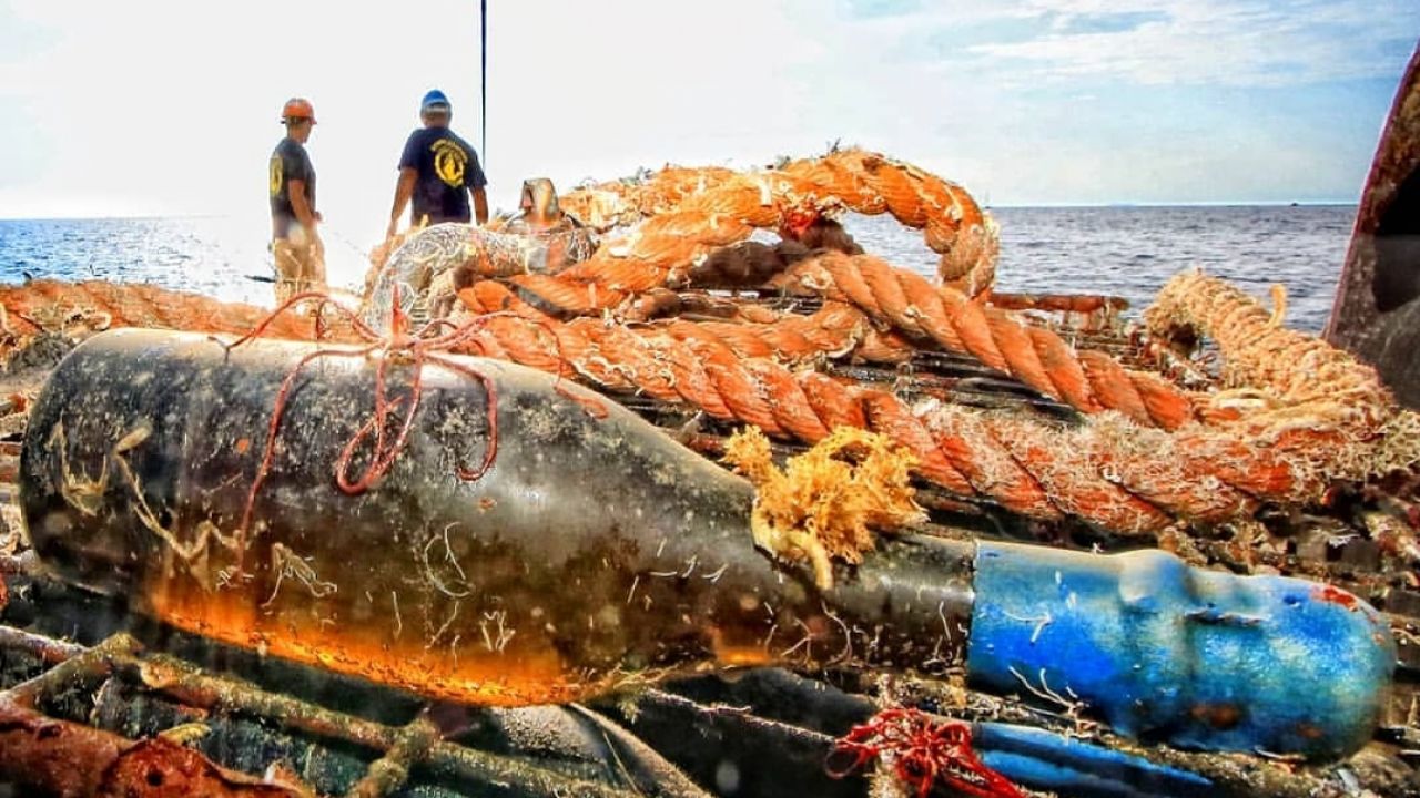 Enonews parla dei Vini dal mare