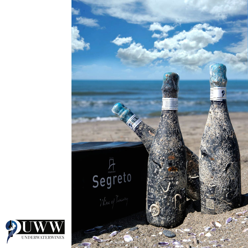 
                      
                        Segreto del Mare, Metodo Classico, UnderWaterWines
                      
                    